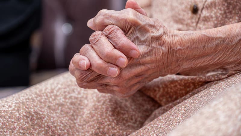 Důchodový systém v Česku? Populace stárne a do penzijní „nádrže“ teče méně peněz, než z ní mizí