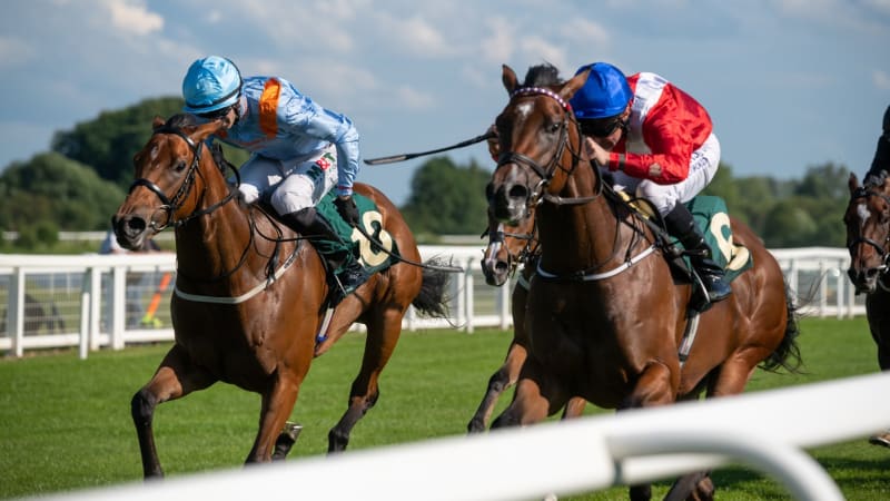 Sanitka na dostihové dráze v USA málem smetla závodníky, ukazuje video. Experti kroutí hlavou