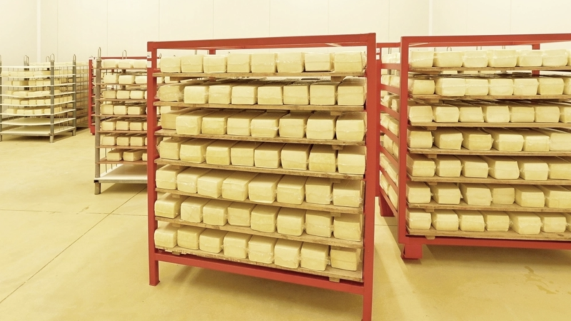 Soutěž o zlatou cihlu výběrového sýru ROLS z Hané