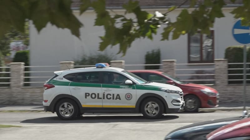 Tragédie na Slovensku: Při autonehodě zemřelo osmileté dítě. Policie dala rodičům tři rady